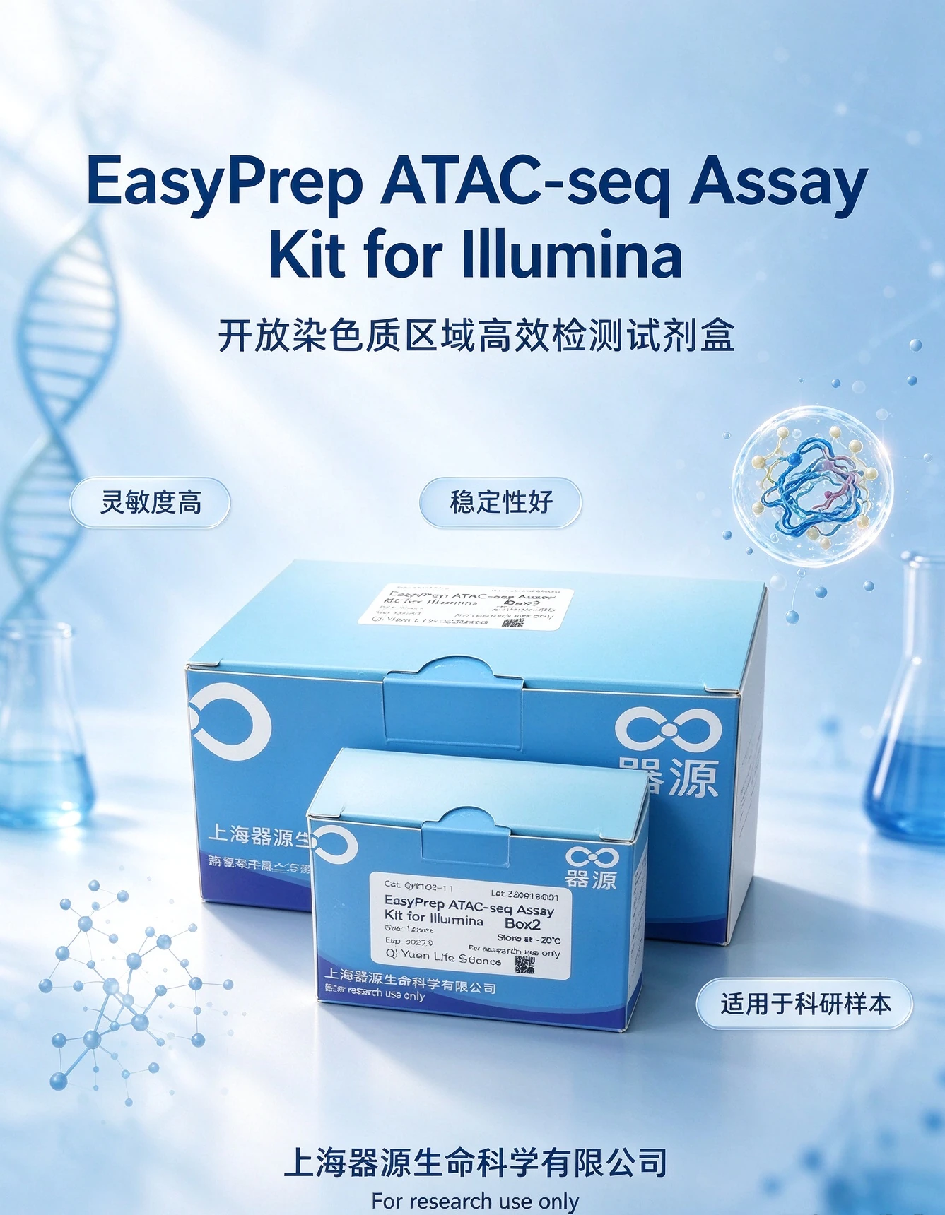 ATAC-seq宣传图.jpeg