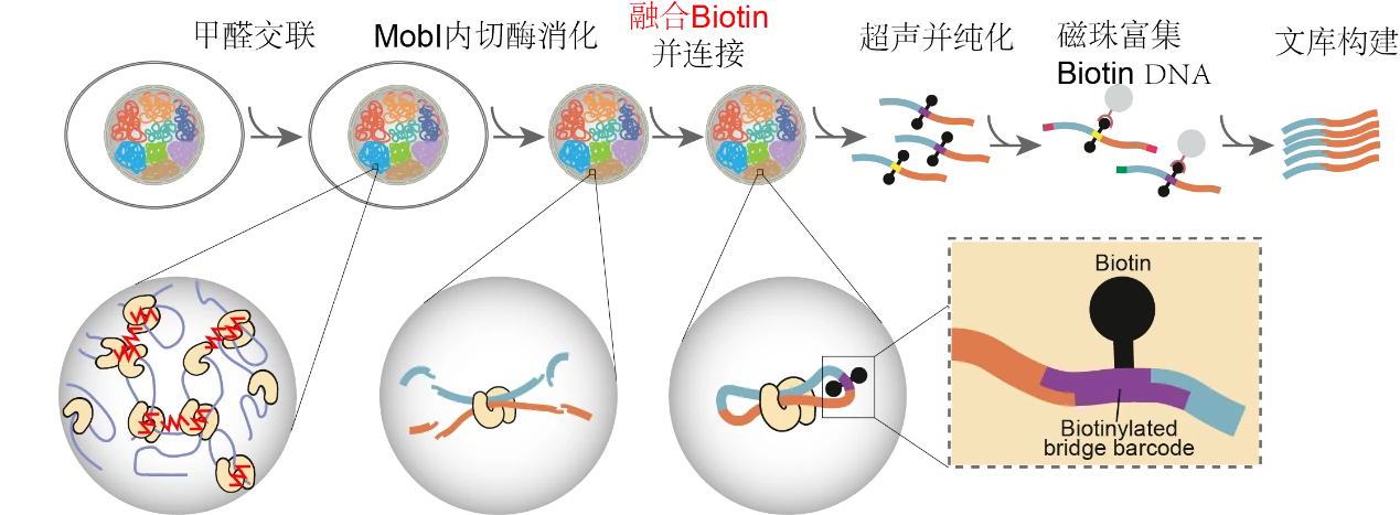 image17.png