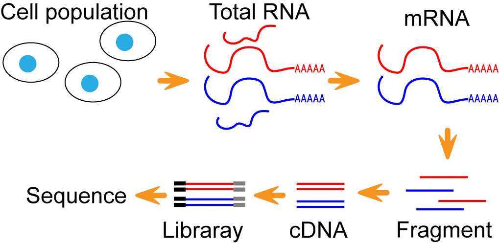 image49.png