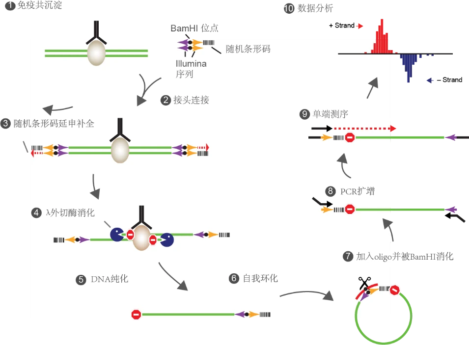 image12.png