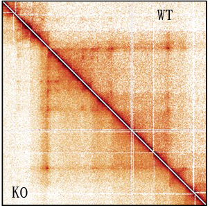 image71.png