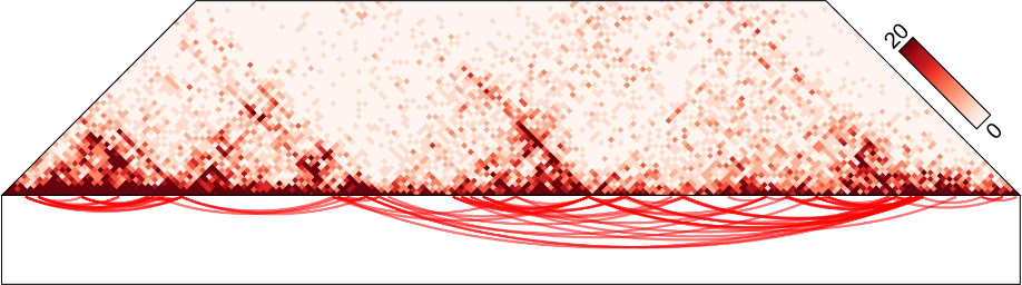 image26.png