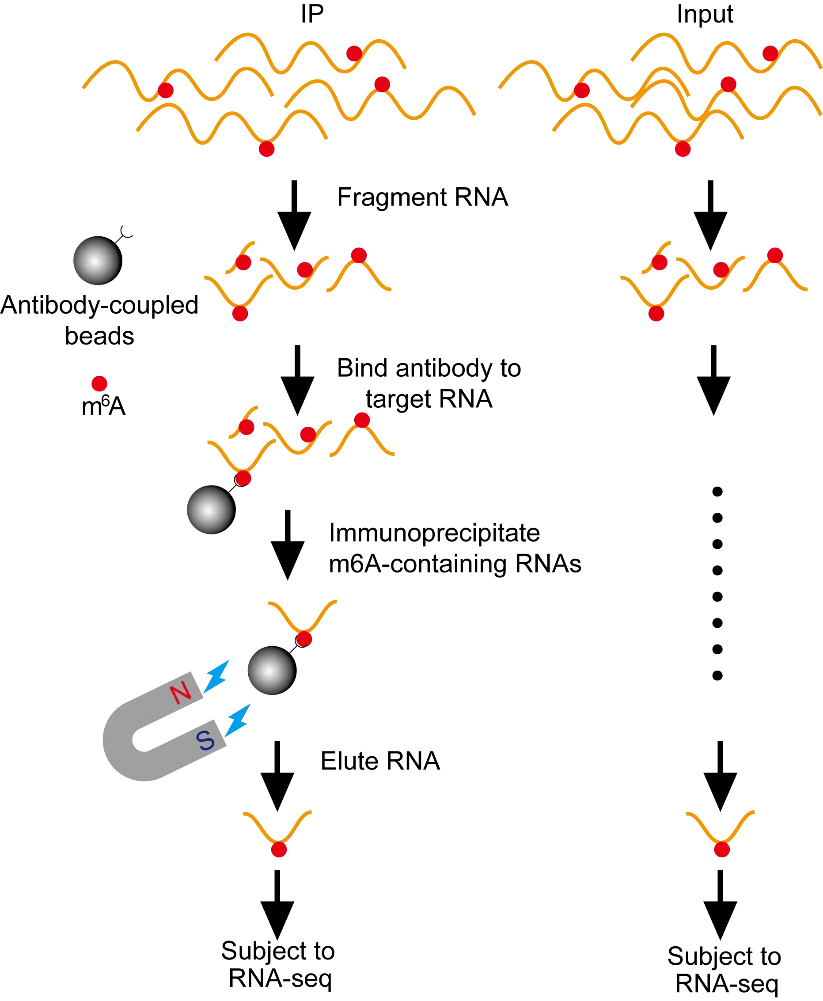 image55.png