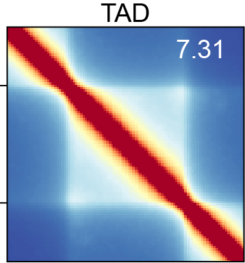 image20.png