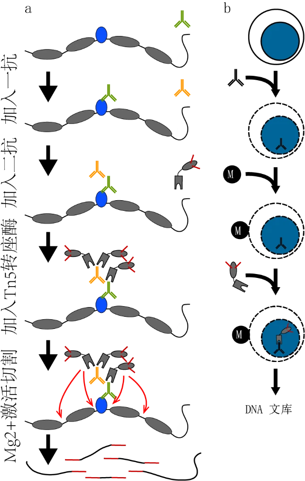 image31.png