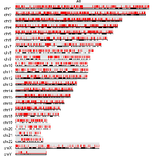 image61.png