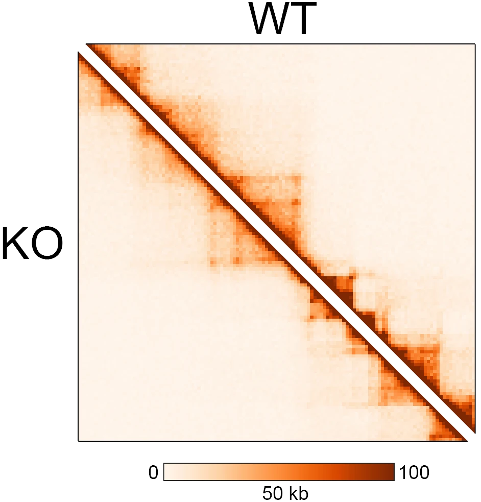 image18.png