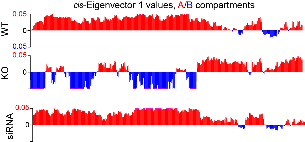 image21.png