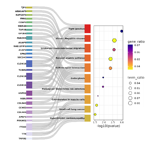 image54.png